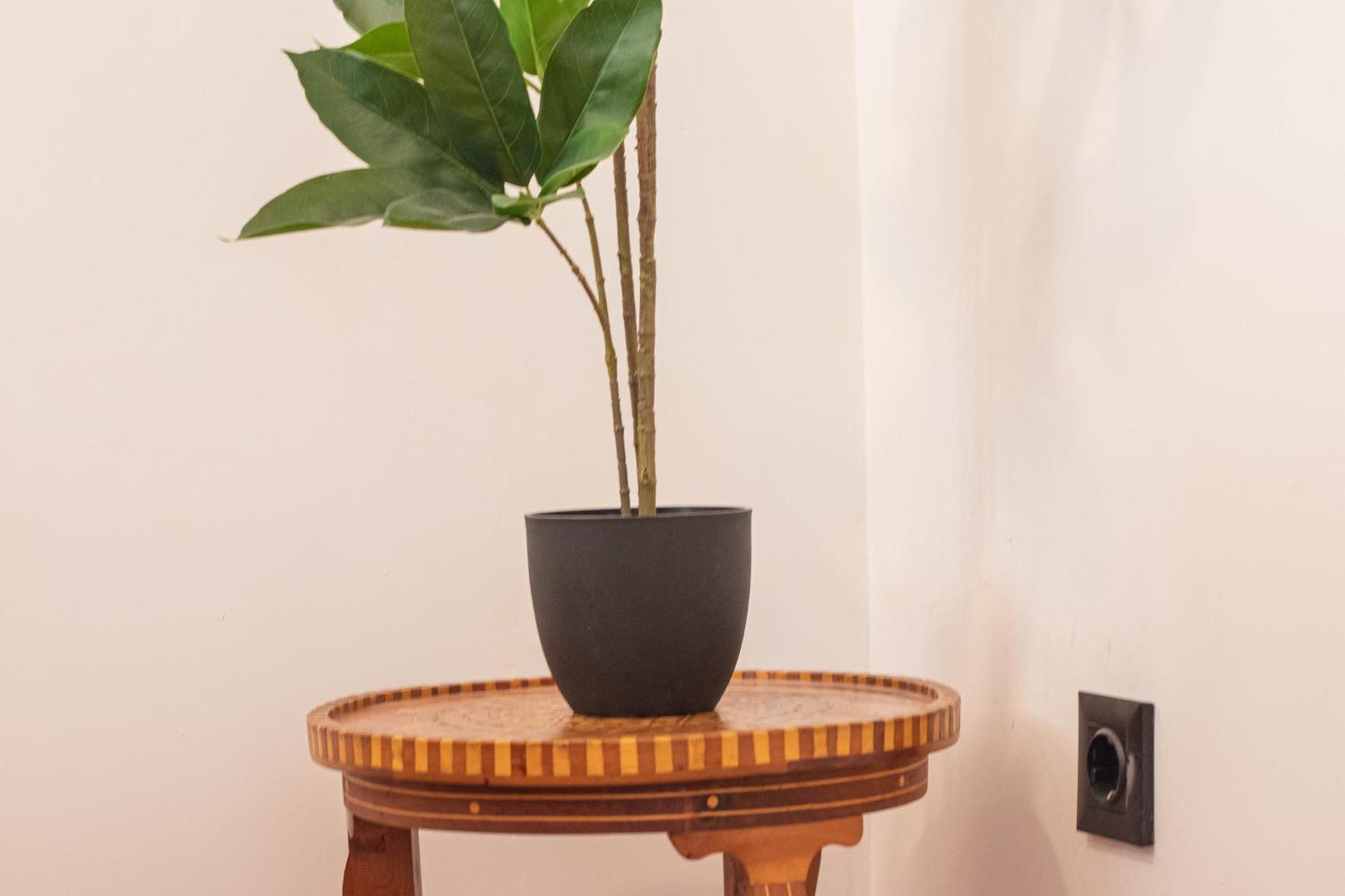 Elvira 54 Apartment Granada Ngoại thất bức ảnh