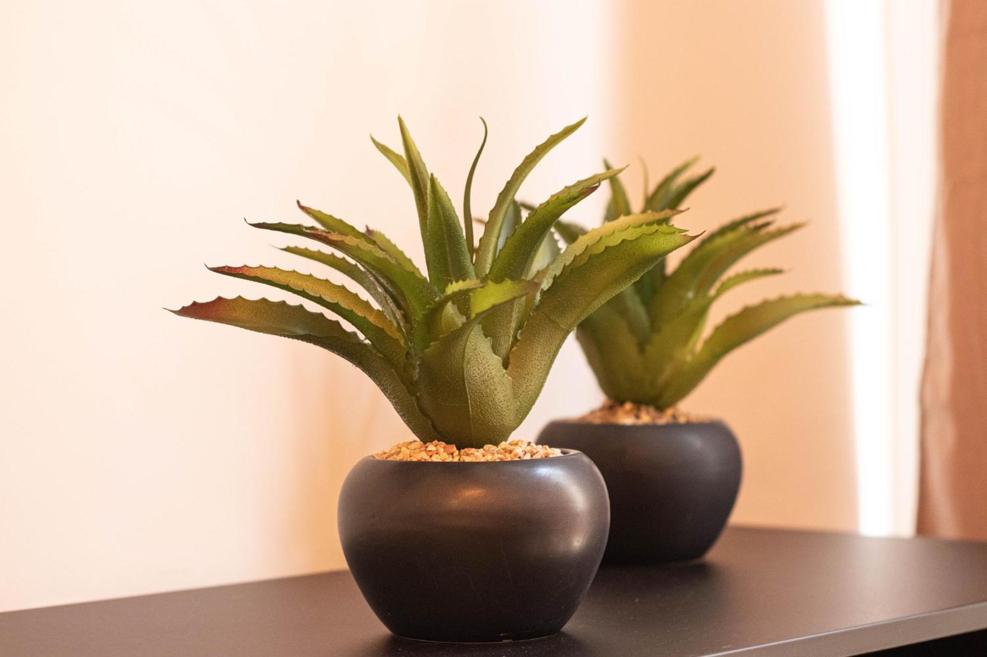 Elvira 54 Apartment Granada Ngoại thất bức ảnh